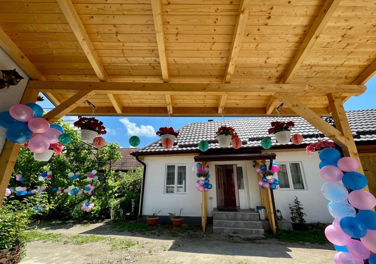 Acasa La Bunica, Cheile Turzii Holiday home *